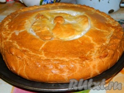 Пиріг з куркою на вершках - готуємо покроково з фото