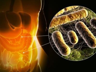 Teljesítmény helyreállítani a bélflóra, a diéta egy dysbacteriosis