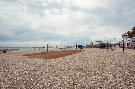 Beach Nebug - fotografie, descriere, cum se obține