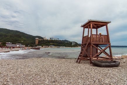 Beach Nebug - fotografie, descriere, cum se obține