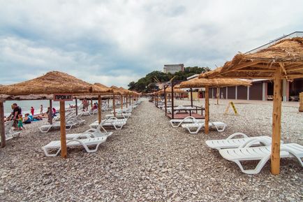 Beach Nebug - fotografie, descriere, cum se obține