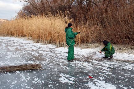 Підготовка до плетіння очеретом