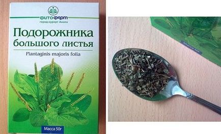 Psyllium tulajdonságai, a kezelés, ellenjavallatok (contra) Psyllium tulajdonságai, a kezelés, ellenjavallatok