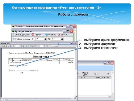 Prezentarea diagnosticelor auto