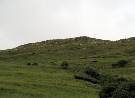 Regiunea Elbrus cum să ajungeți acolo și ce să vedeți pe lângă elbrul, furnicile în pantaloni