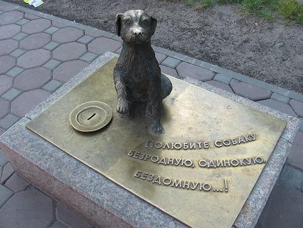 Притулки для собак в Нижньому Новгороді