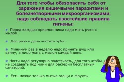 Ознаки паразитів в організмі людини симптоми, діагностика та лікування (фото і відео)