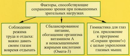 Програма «збережи зір» з кедрової продукцією (буклет)