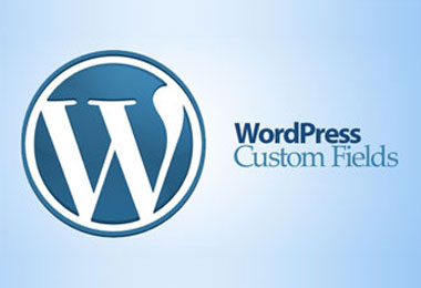 Câmpuri wordpress arbitrare