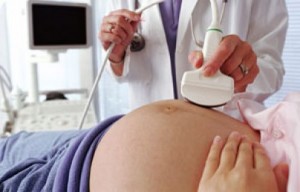 Tratamentul placentar la imbatranire precoce, placenta