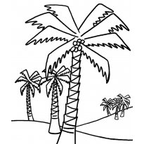 Розфарбування пальма скачати і роздрукувати