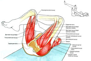 Stretching de mușchi gluteus