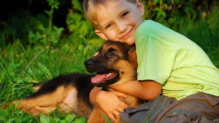 Un copil și un câine cum să învețe un copil să aibă grijă de animalul lor de companie
