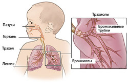 Chlamydia respiratorie provoacă, simptome și tratament