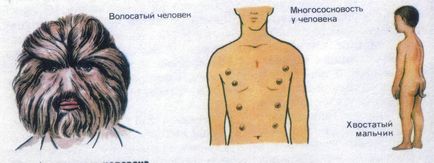 Rudimente și atavisme - dovada evoluției