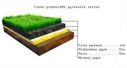 Рулонний газон, види рулонного газону, чим відрізняється рулонний газон від газону посівного, корисні