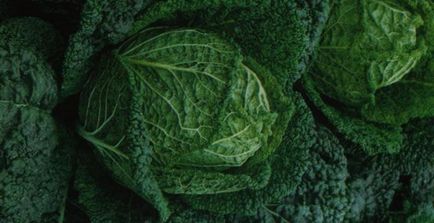 Савойська капуста сорту на фото, агротехніка вирощування капусти савойської і її корисні властивості