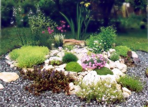 Secretele de a crea un tobogan alpin în grădină