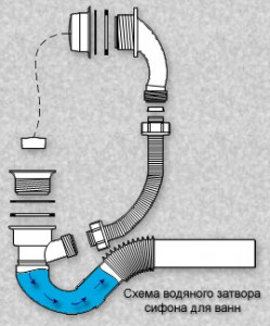 Сифон для ванни (кран, слив) інструкція як вибрати, фото, відгуки і ціни