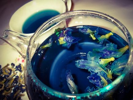 Синій чай з Таїланду корисні властивості і протипоказання