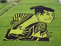 Складно повірити своїм очам, коли бачиш, що японці витворяють на полях!