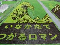 Nehéz elhinni, hogy a szemed, amikor azt látja, hogy a japán felkelni mezőket! (Fields) Nehéz elhinni, hogy a szemed, amikor azt látja, hogy a japán felkelni mezőket!