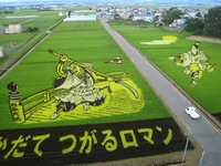 Nehéz elhinni, hogy a szemed, amikor azt látja, hogy a japán felkelni mezőket! (Fields) Nehéz elhinni, hogy a szemed, amikor azt látja, hogy a japán felkelni mezőket!
