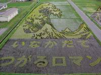Nehéz elhinni, hogy a szemed, amikor azt látja, hogy a japán felkelni mezőket! (Fields) Nehéz elhinni, hogy a szemed, amikor azt látja, hogy a japán felkelni mezőket!