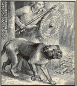 Câine de viață de la și la I - câini din istorie