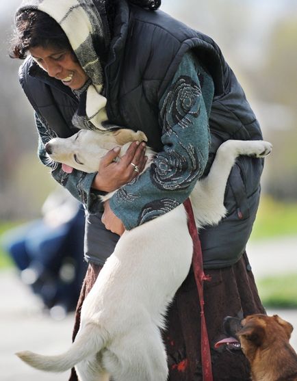 Câini care sunt foarte pasionați de îmbrățișarea umană, umkra