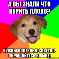 Створити мем advice dog генератор мемів - рісовач