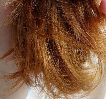 Порятунок - убитих - волосся міф чи реальність відгуки