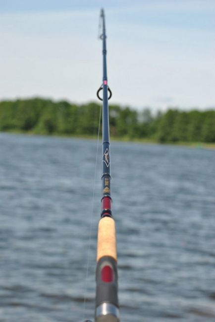 Spinning pentru jig-fishing cum să alegeți cel mai bun buget, grele și de filare