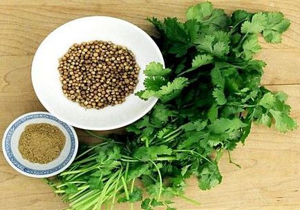 Tehnologia de creștere a coriandrului (cilantro)