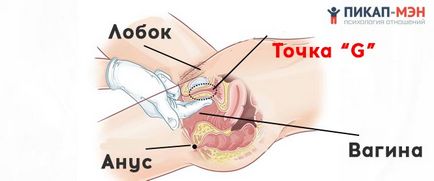 Точка «g, джи» у жінок