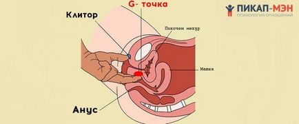 Точка «g, джи» у жінок