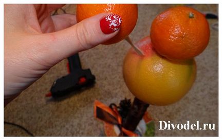 Topiari de tangerine, cadouri cu maini proprii