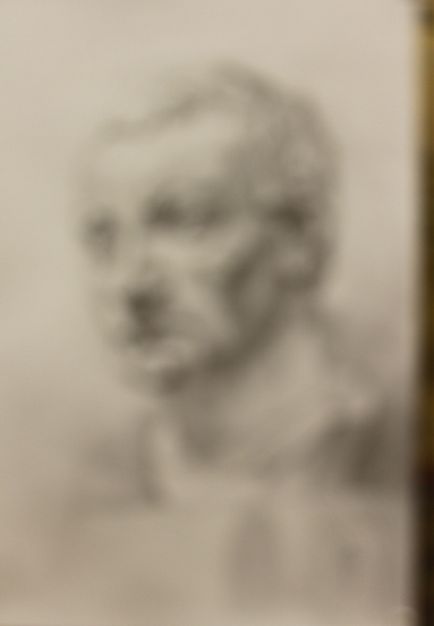Навчальний малюнок гіпсової голови Гаттамелати