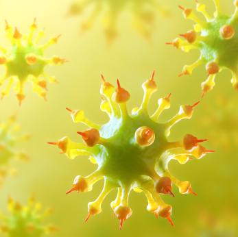 Oamenii de știință au arătat cum virusul herpes captează celulele noastre și se ascunde în ele