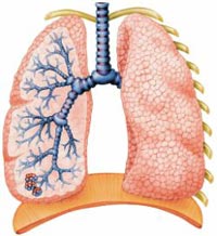 Injecții de la pneumonie