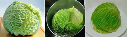 Univerzális kelkáposztát előnyei és hátrányai (Savoy) Univerzális kelkáposztát előnyei és hátrányai