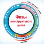 Uzi ca metodă de diagnosticare a fluidului într-un tip de buzunar douglas (în spatele gurii)