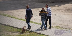 У білорусі зміняться ставки податку для власників собак