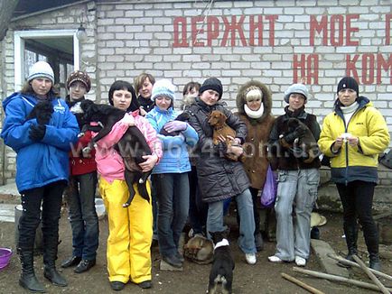 A Gorlovka menedéket hajléktalan állatok állandó első lakói - 5 kutya és 12 kis kölykök