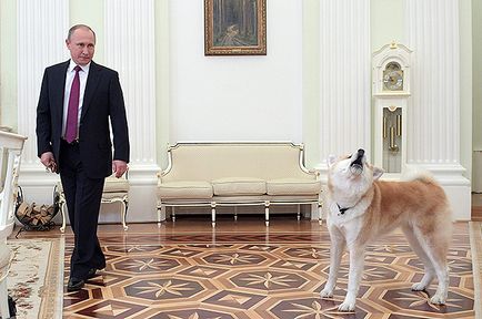 Vlagyimir Putyin jött az interjú az elnök a kutya meglepett, ijedt japán újságírók,