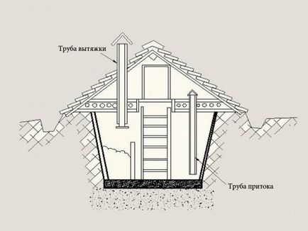 Вологість в погребі причини появи і способи усунення