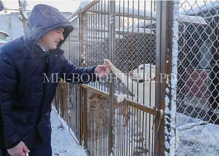 În Nižni Novgorod, a fost deschis un orfelinat pentru animalele fără adăpost, voluntari ai adăpostului în adăpost