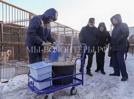 În Nižni Novgorod, a fost deschis un orfelinat pentru animalele fără adăpost, voluntari ai adăpostului în adăpost