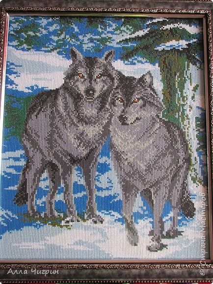 Wolves - szerelem jelképe és a hűség, ország művészek (jó hangulat) Wolves - szerelem jelképe és a hűség, ország művészek