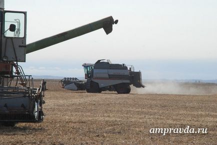 În regiunea Amur, este stabilit un nou record pentru randamentul soiului